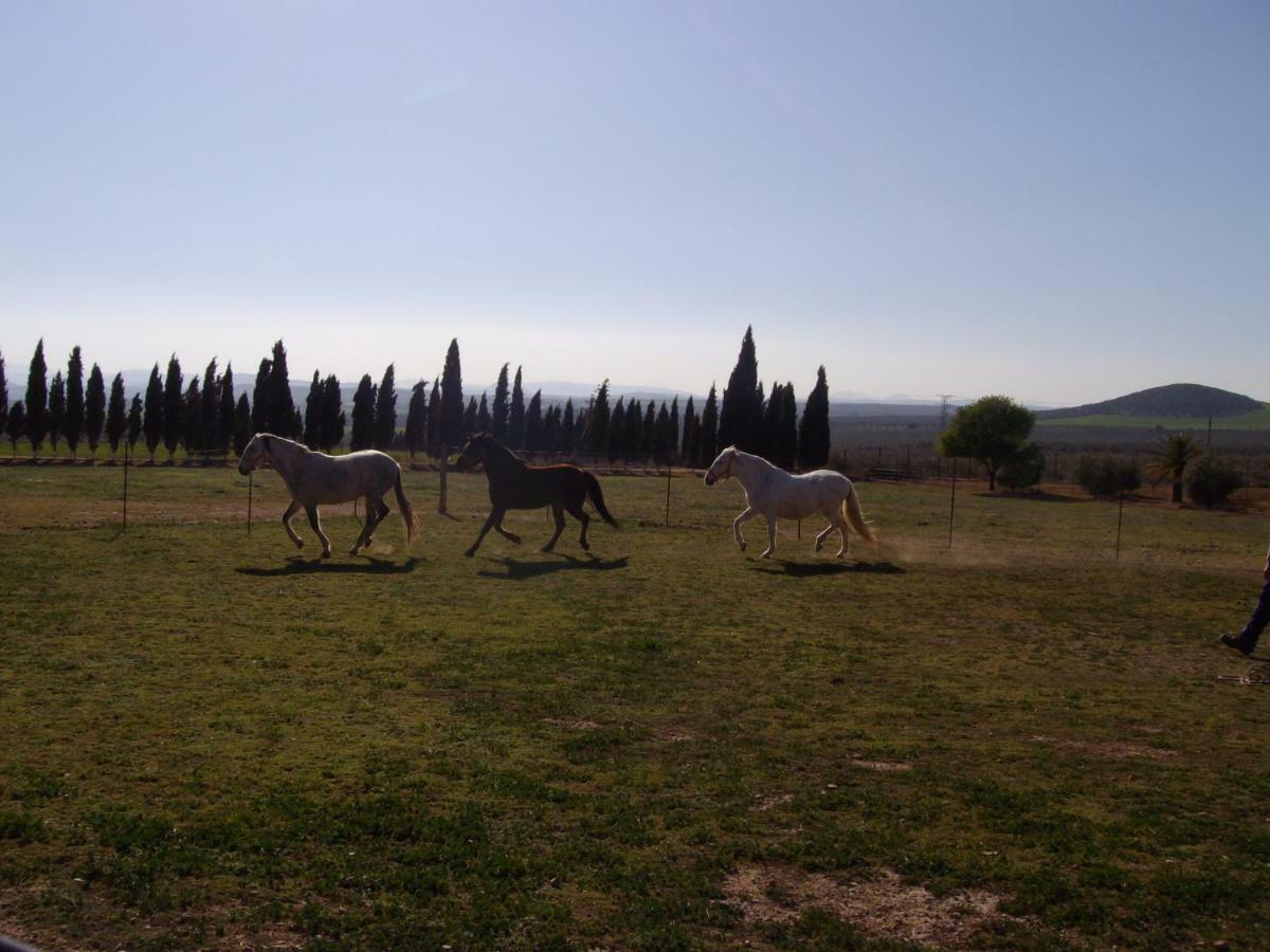 Cortijo Ferradores Humilladero Luaran gambar