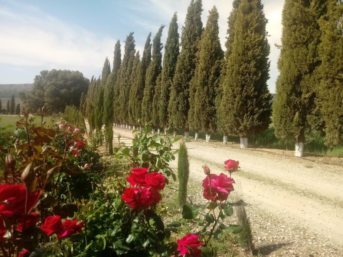 Cortijo Ferradores Humilladero Luaran gambar