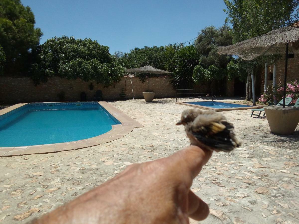Cortijo Ferradores Humilladero Luaran gambar